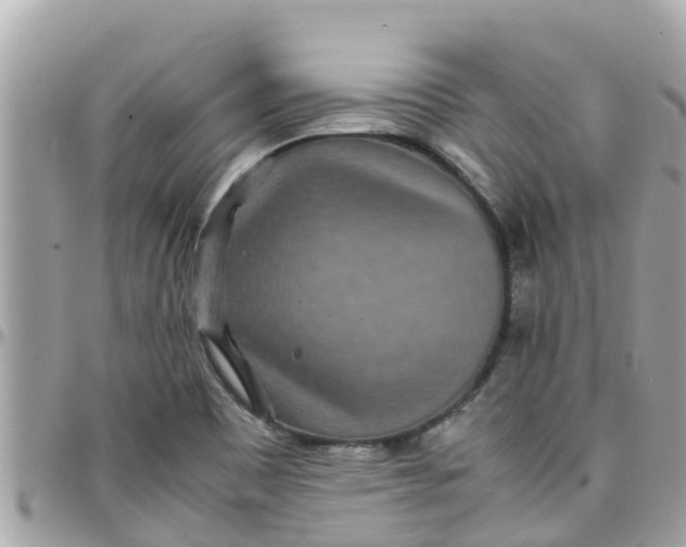 X0000097761465200803211703