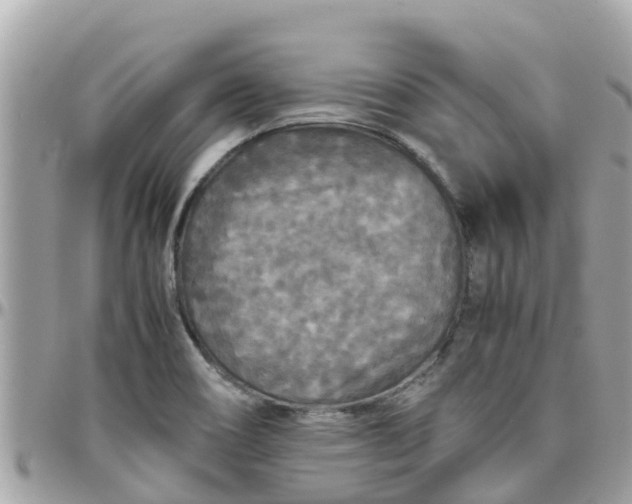 X0000097761466200803211703