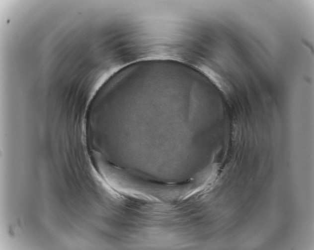 X0000097761468200803211703