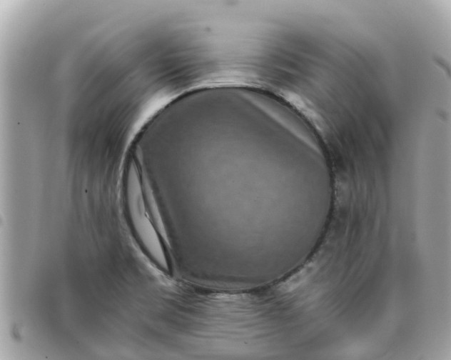 X0000097761469200803211703