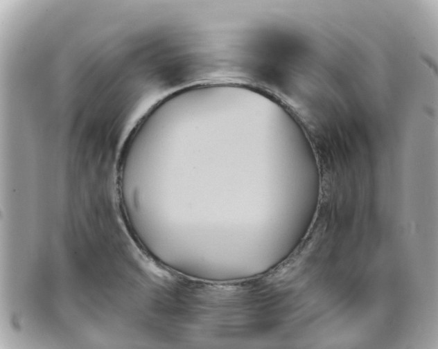 X0000097761470200803211703