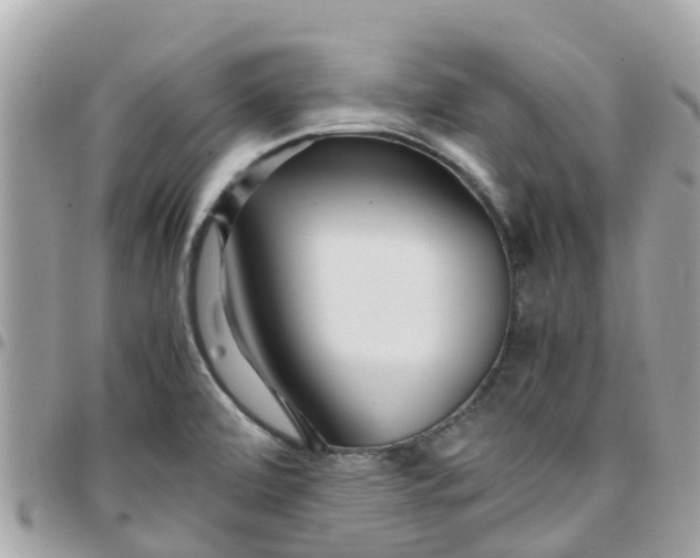 X0000097761472200803211703