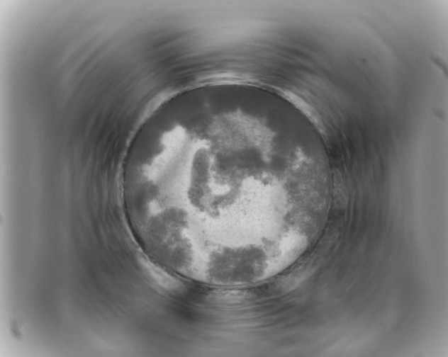 X0000097761474200803211703