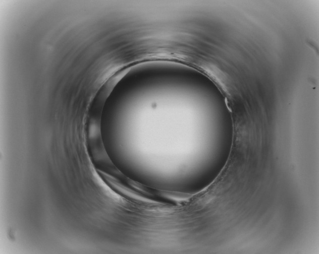 X0000097761476200803211703