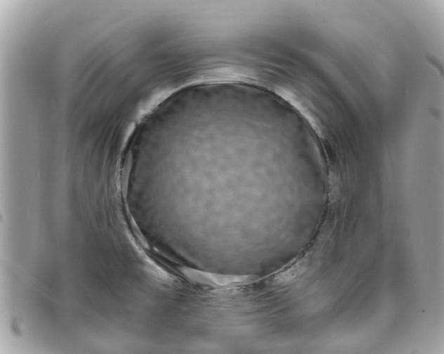 X0000097761477200803211703