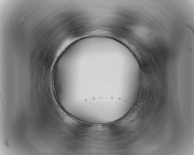 X0000097761478200803211703