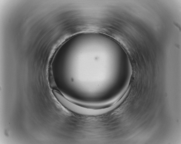 X0000097761480200803211703