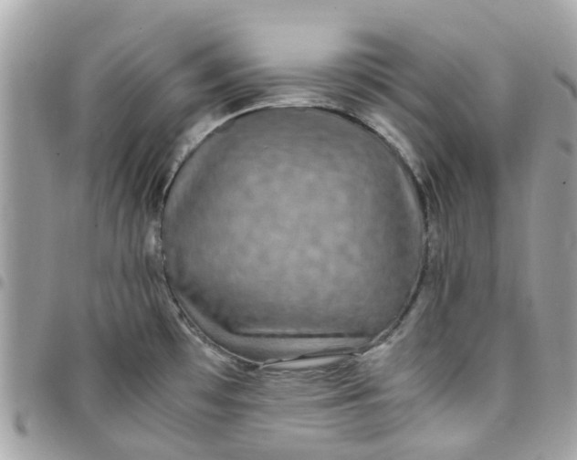 X0000097761481200803211703