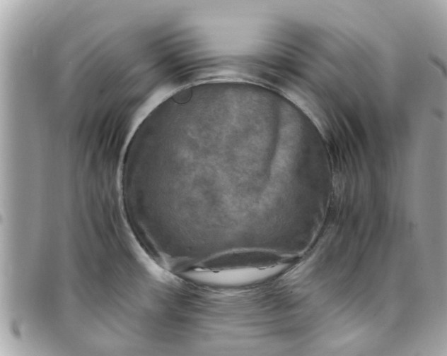 X0000097761482200803211703