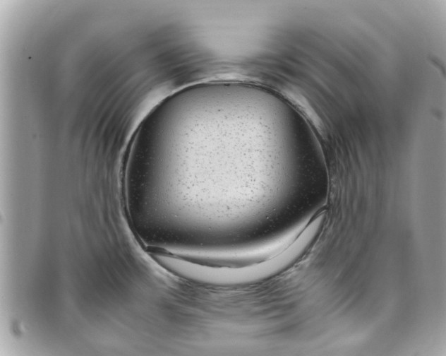 X0000097761483200803211703