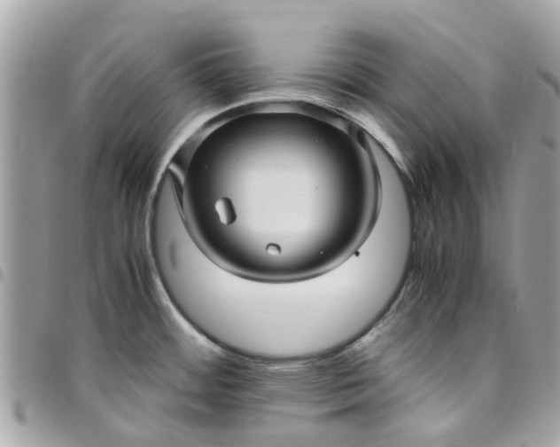 X0000097761484200803211703