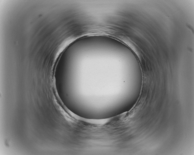 X0000097761485200803211703