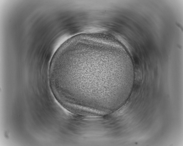 X0000097761487200803211703