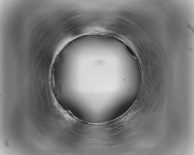 X0000097761488200803211703