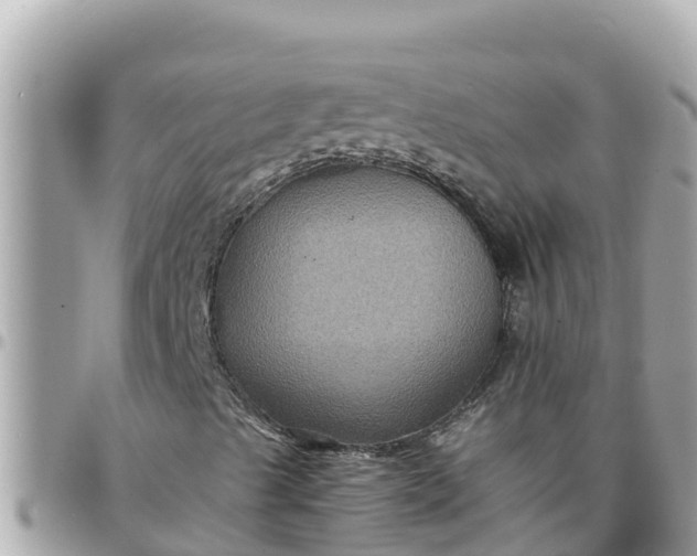 X0000097761489200803211702