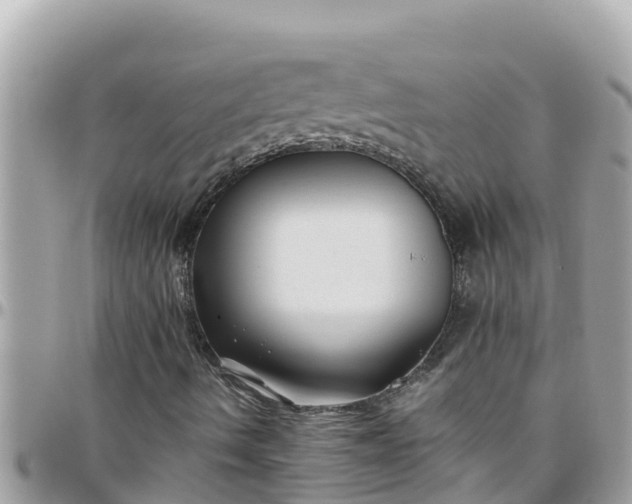 X0000097761490200803211702