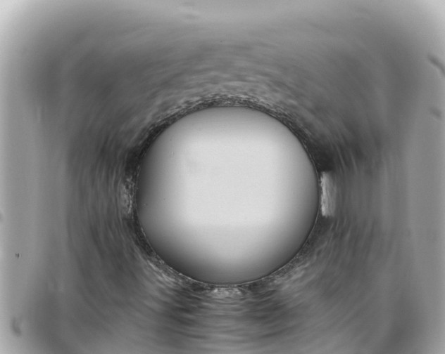 X0000097761491200803211702