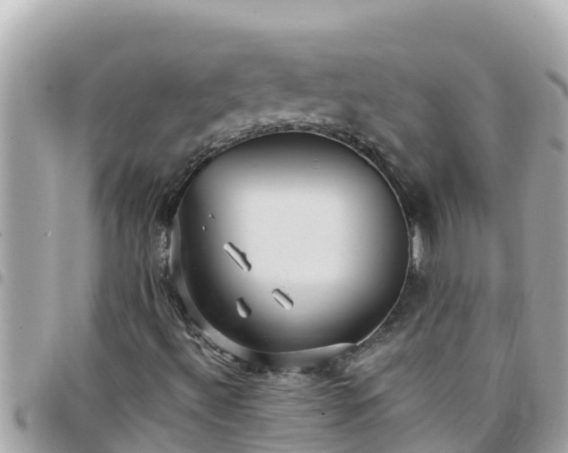 X0000097761492200803211702