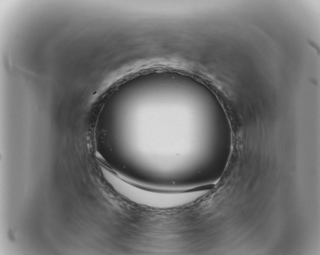 X0000097761496200803211702