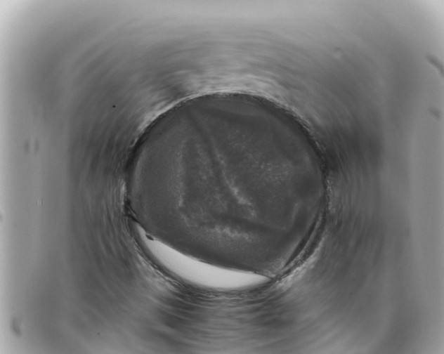 X0000097761497200803211702