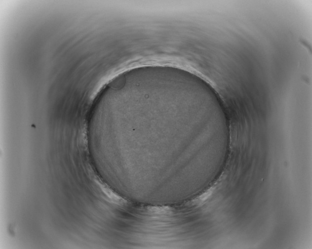 X0000097761498200803211702