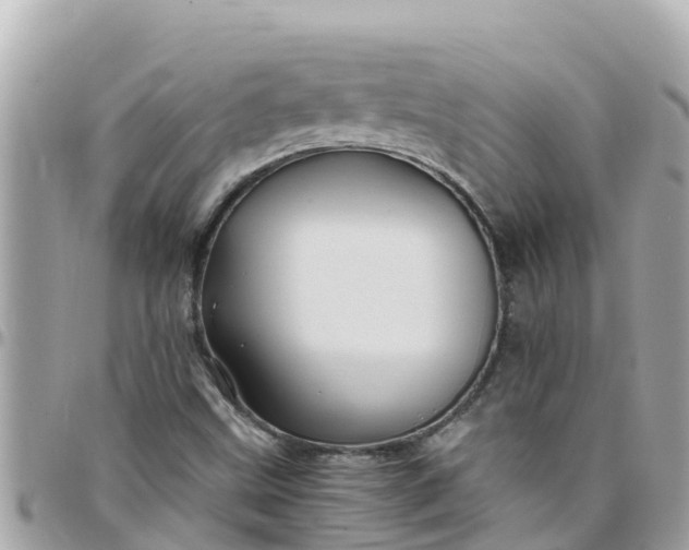 X0000097761499200803211702