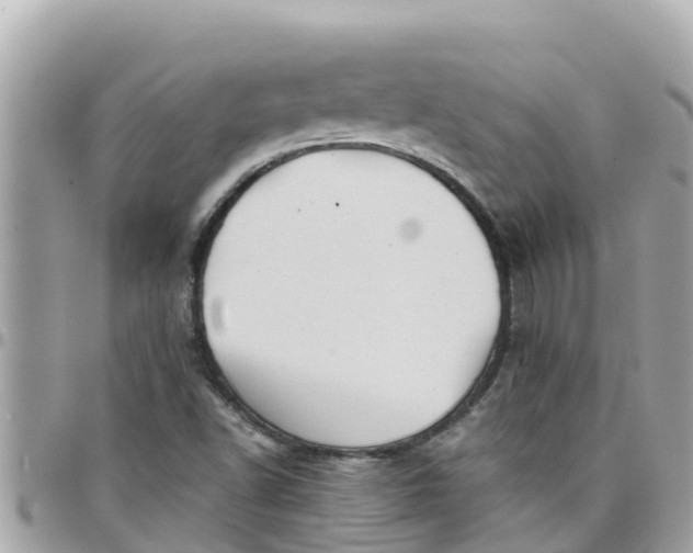 X0000097761502200803211702