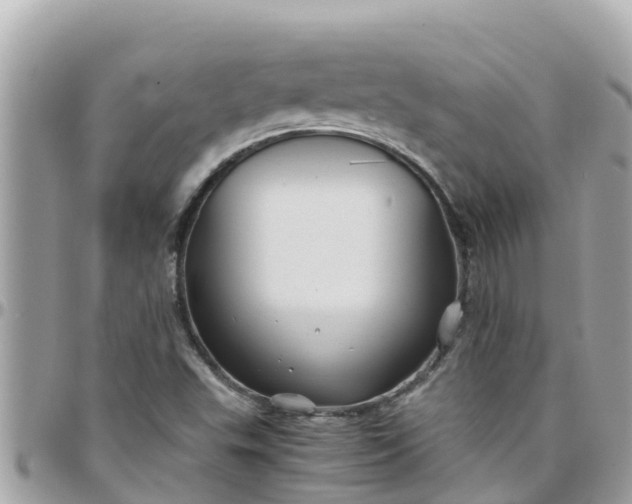 X0000097761503200803211702