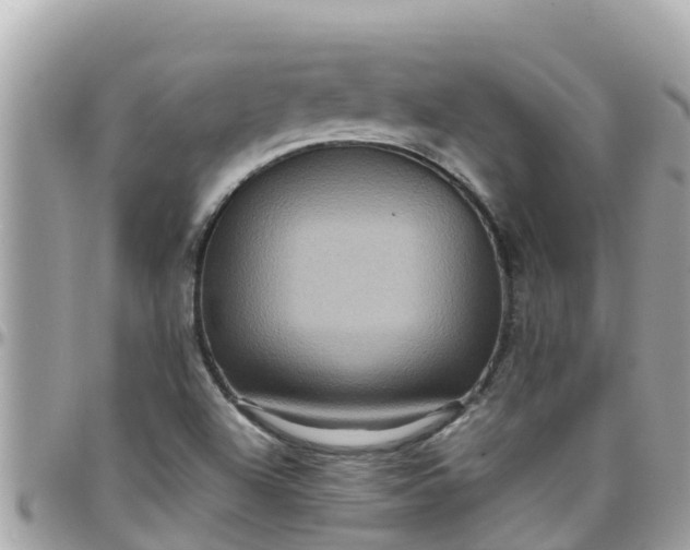 X0000097761504200803211702