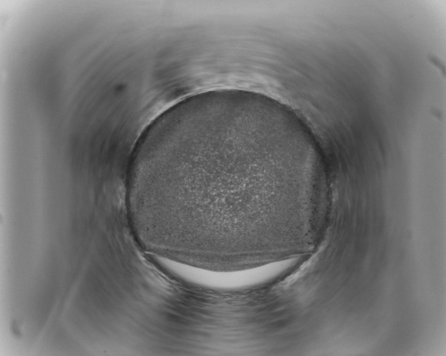 X0000097761505200803211702