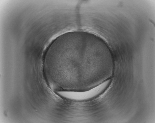 X0000097761506200803211702