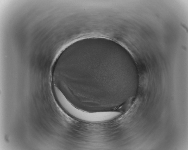 X0000097761508200803211702