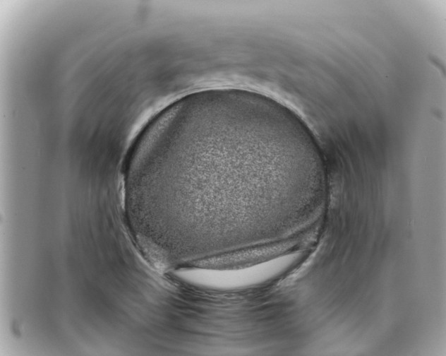 X0000097761509200803211703