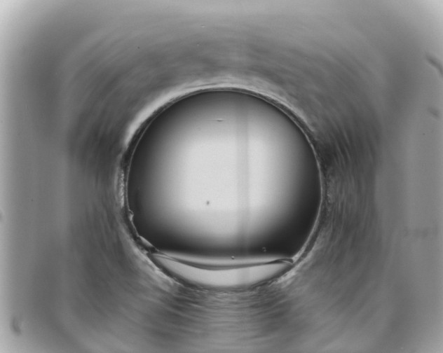 X0000097761510200803211703