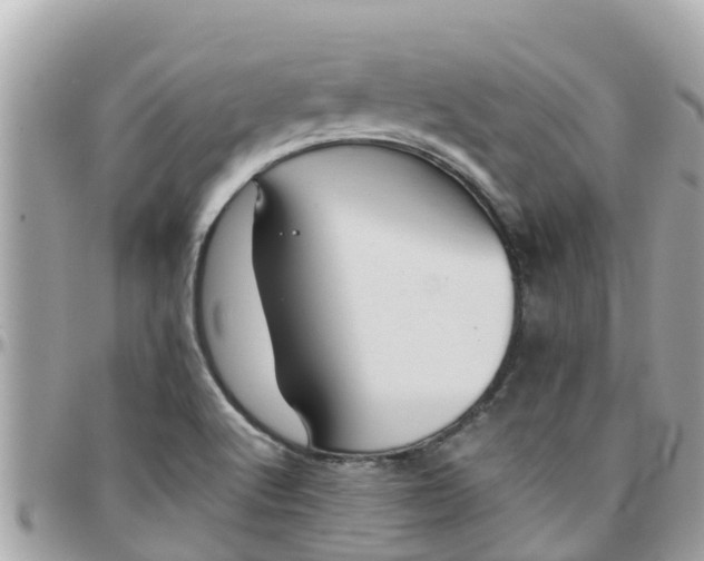 X0000097761512200803211703