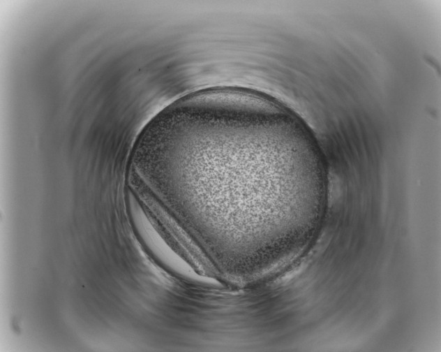 X0000097761513200803211703