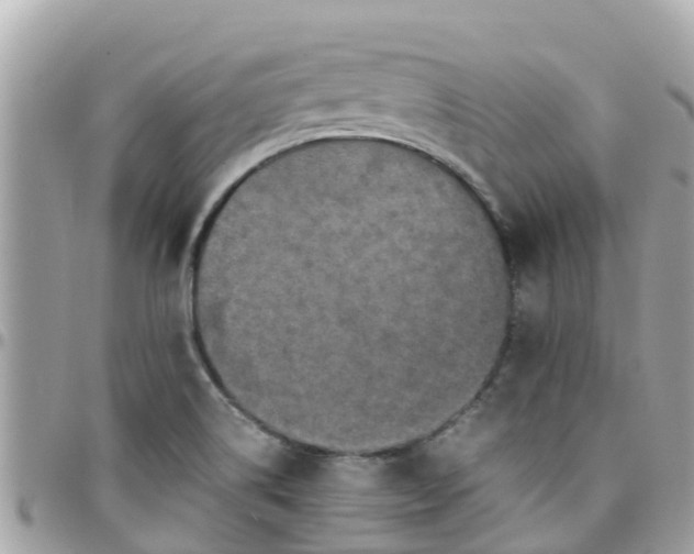 X0000097761514200803211703