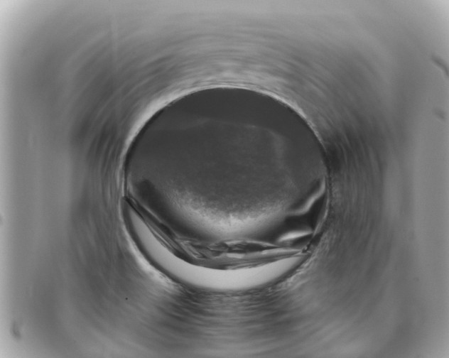 X0000097761515200803211703