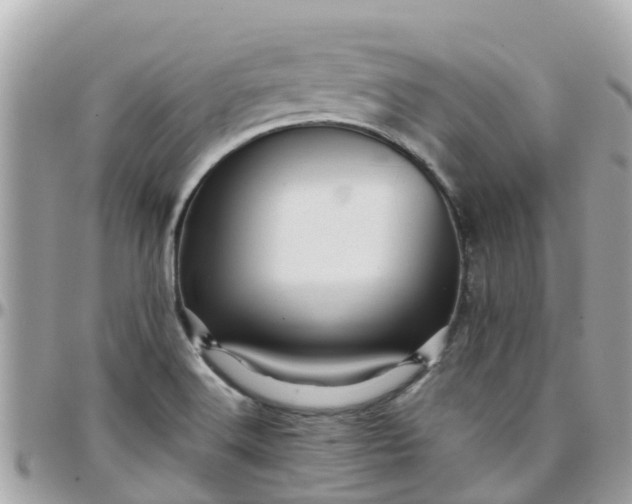 X0000097761516200803211703