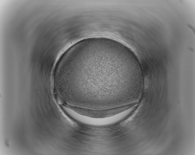 X0000097761517200803211703