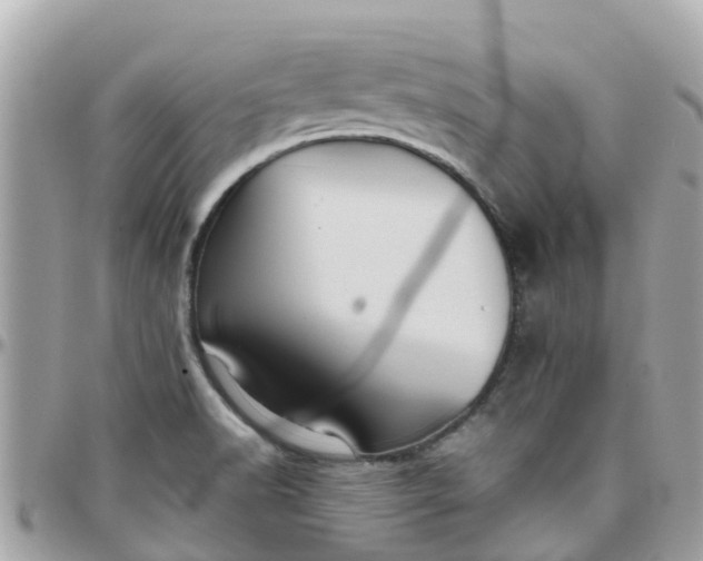 X0000097761518200803211703