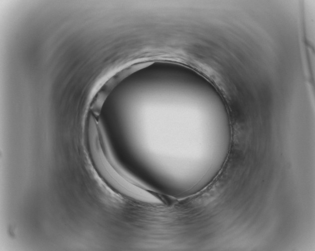 X0000097761520200803211703