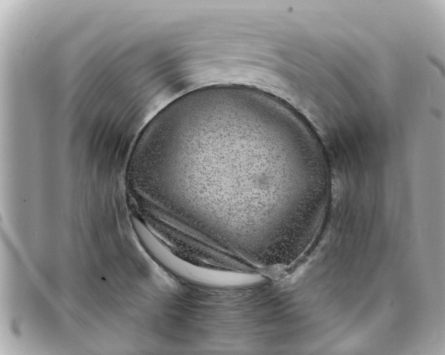 X0000097761521200803211703