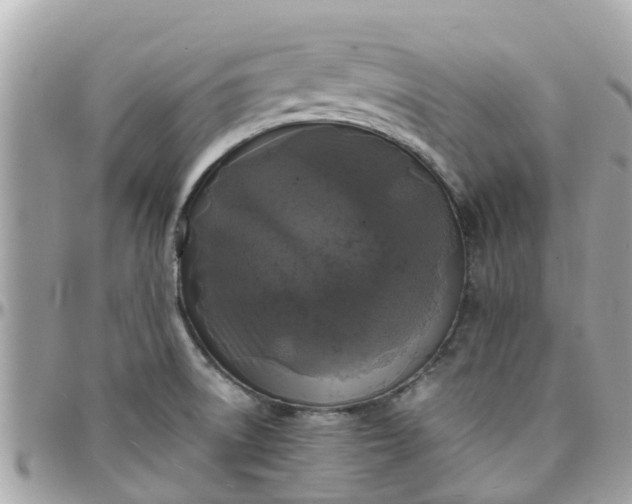 X0000097761522200803211703