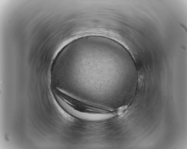 X0000097761523200803211703