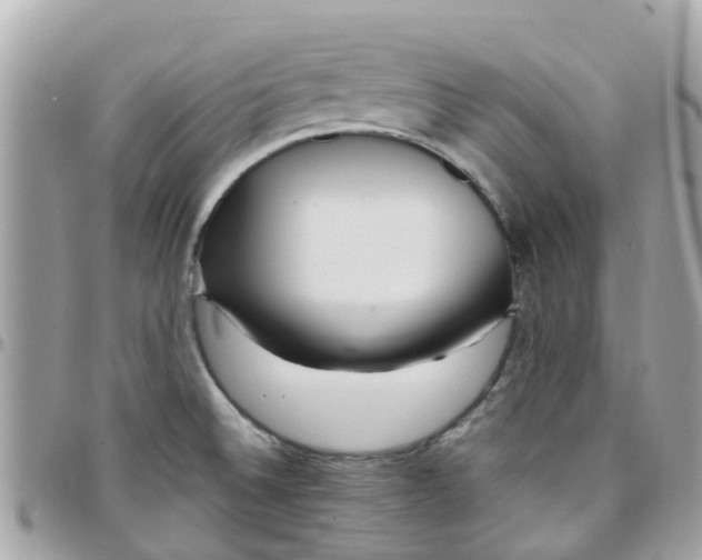 X0000097761524200803211703