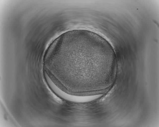 X0000097761525200803211703