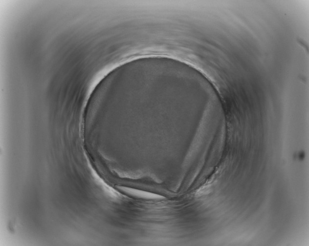 X0000097761527200803211703