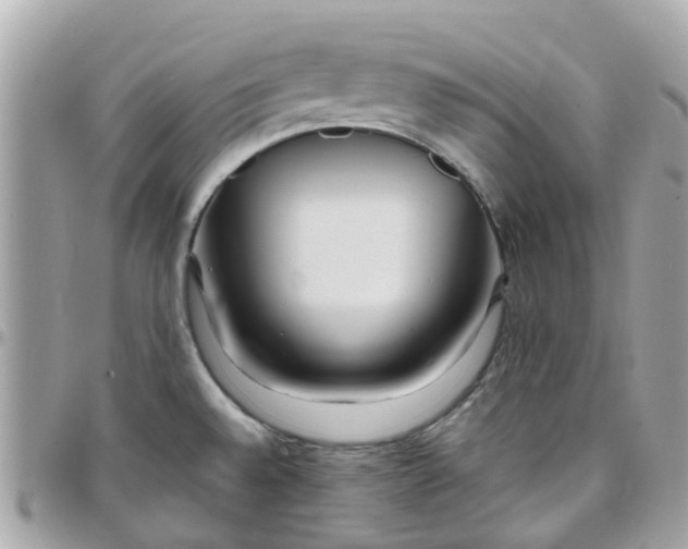 X0000097761528200803211703