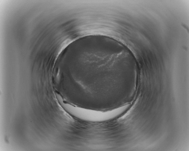 X0000097761529200803211703